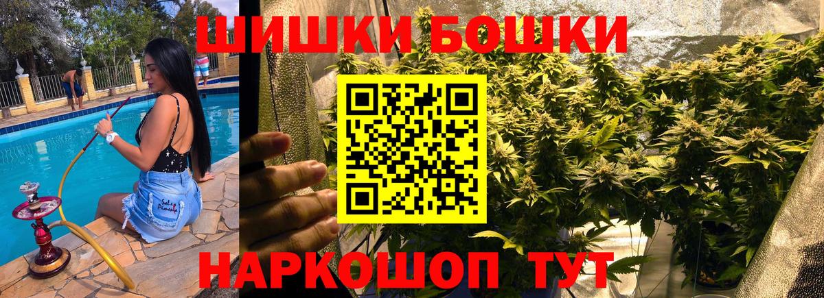 Бошки Шишки Ganja  Вход с VPN  Сунжа  Шишки марихуана планчик  Канабис гибрид 